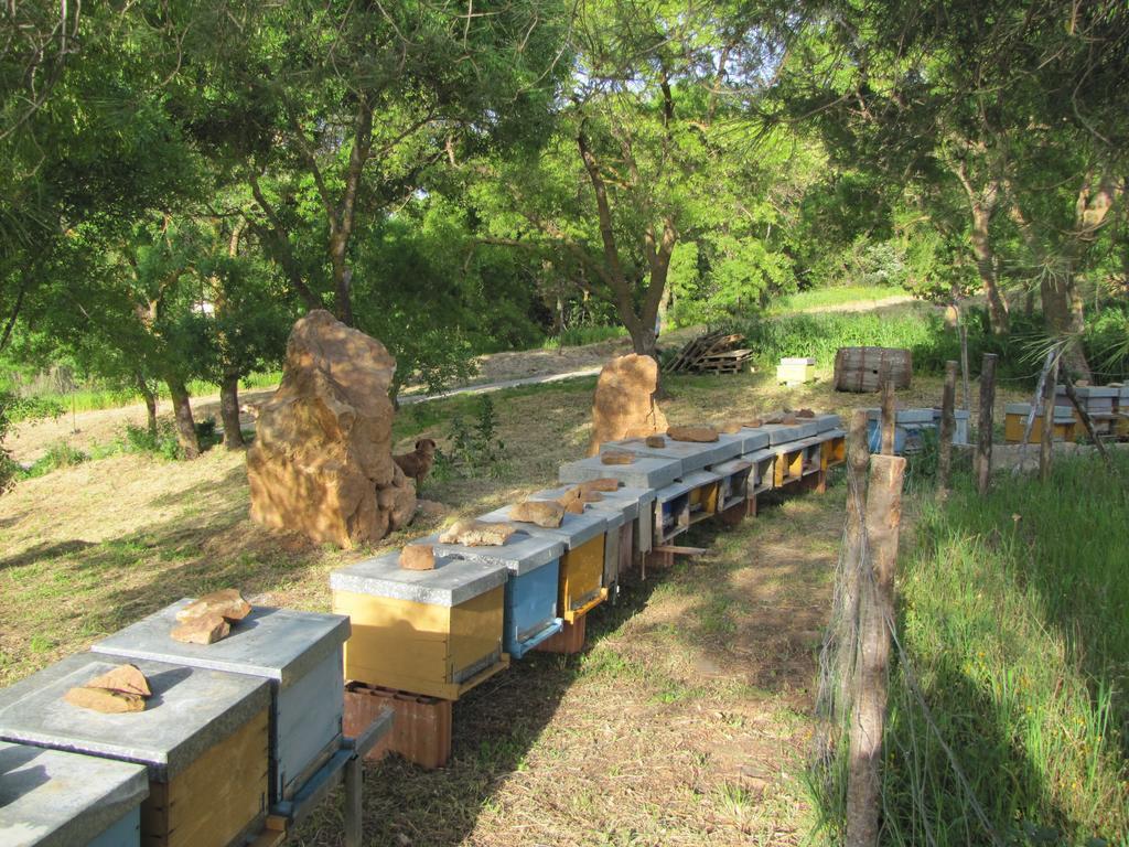 Pensjonat La Manna Di Zabbra Pollina Zewnętrze zdjęcie